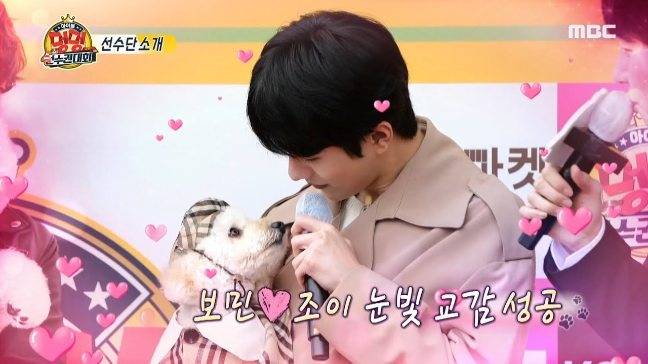 [2020 아이돌 멍멍 선수권 대회] 보민 아빠와 조이의 달달한 눈빛 교감♡ MBC 201002 방송