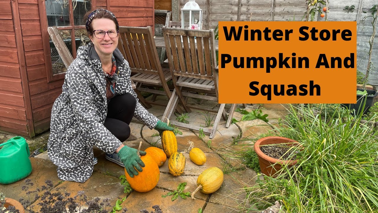 How To Winter Store Pumpkin And Squash - Allotment Gardening UK 2021