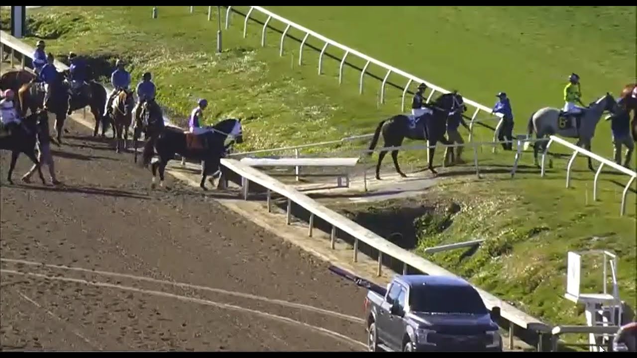 R6 FAIR GROUNDS -07 FEB 2026