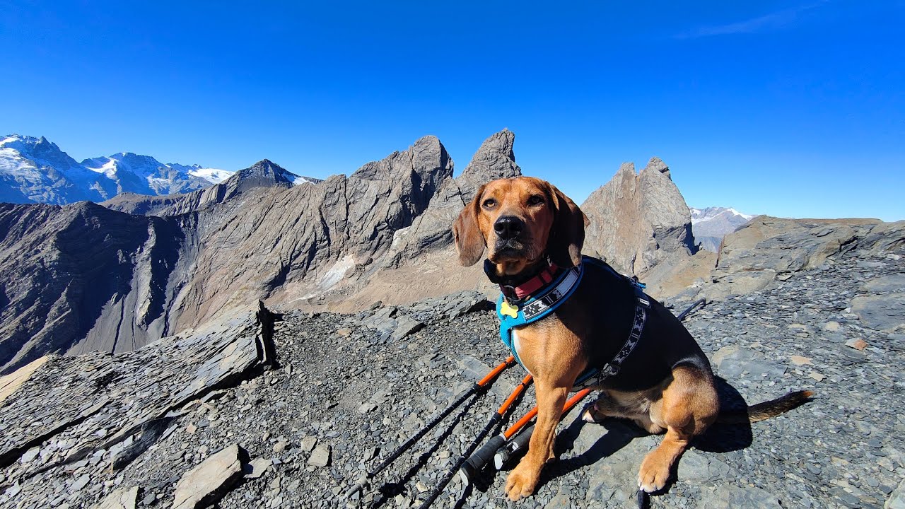 Aiguille de l'Épaisseur 3230m