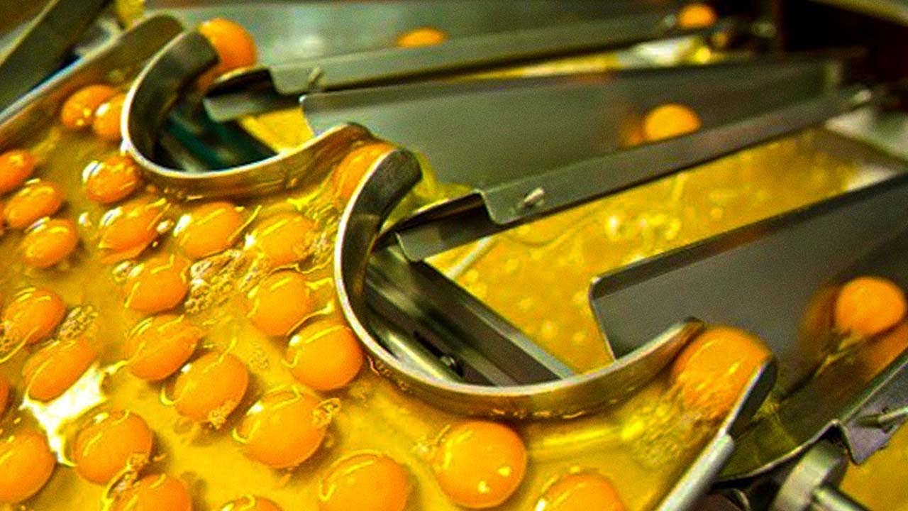 These Machines Are on a Whole New Level !