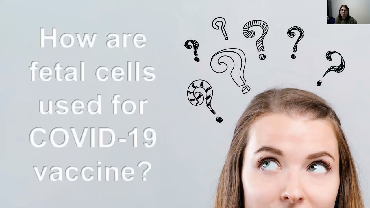 Are fetal cells used to make COVID-19 vaccines?