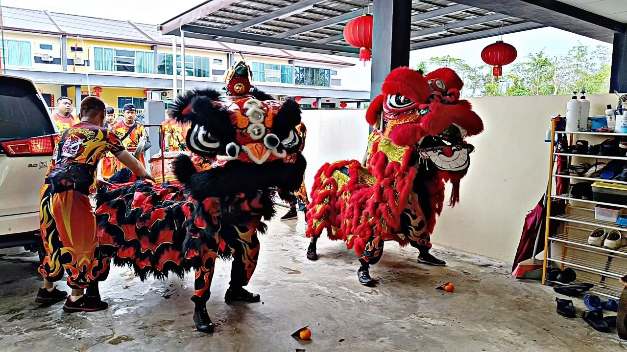 Persembahan Tarian Singa Masuk Ke Dalam Rumah Lion Dance CNY 2026