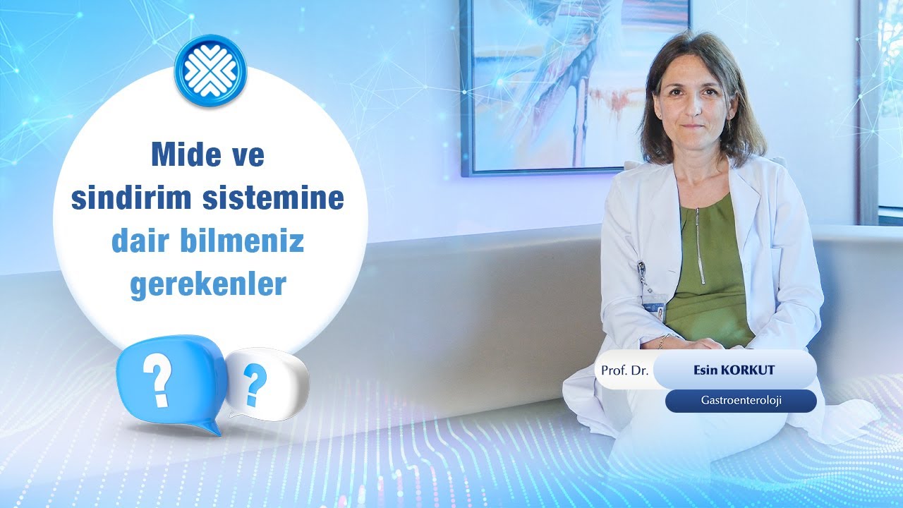 Mide ve Sindirim Sistemine Dair Merak Edilenler: Reflü, Gastrit, Hazımsızlık ve Daha Fazlası