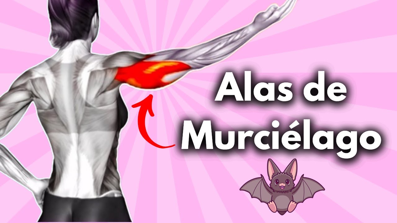 ¿Tienes Alas de Murciélago? Elimina Así la Grasa en Brazos y Axilas ✅