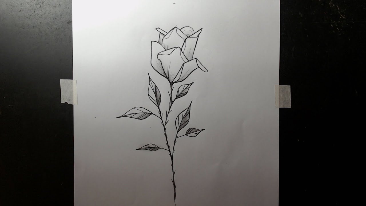 Como desenhar rosa estilo tattoo passo a passo