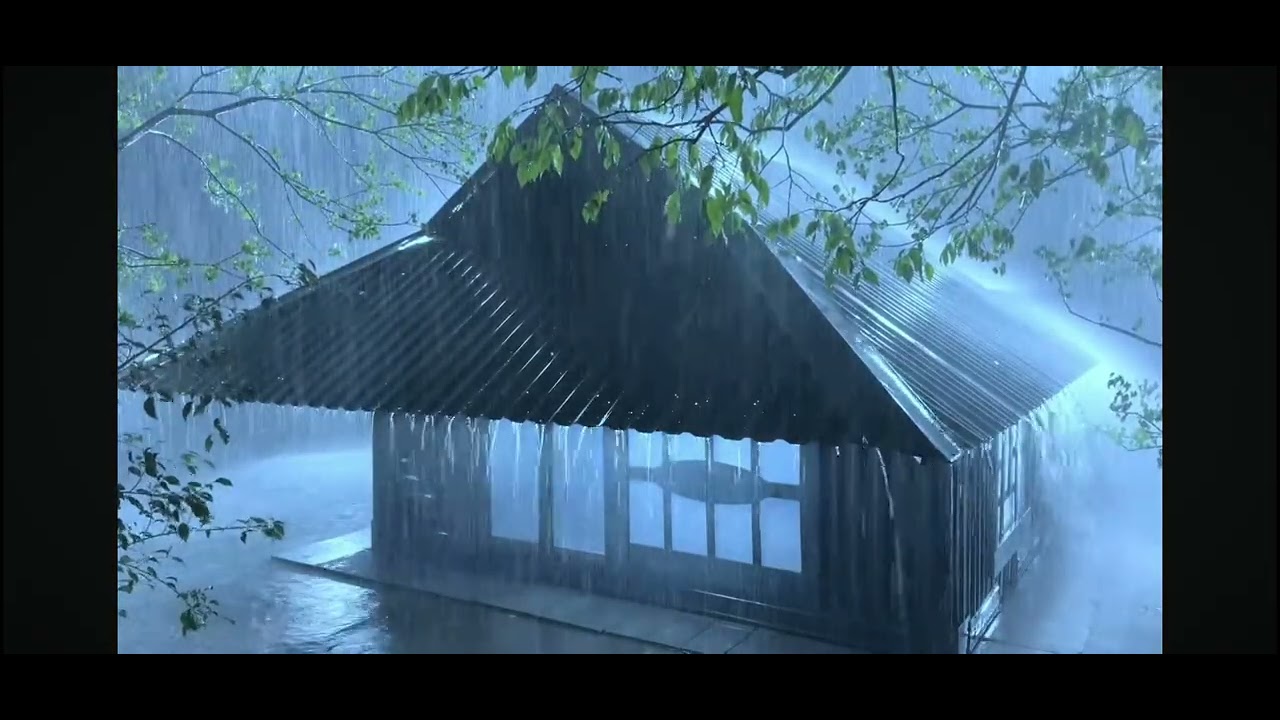 Noche muy lluviosa y fria en la barraca ☔️☔️🌧