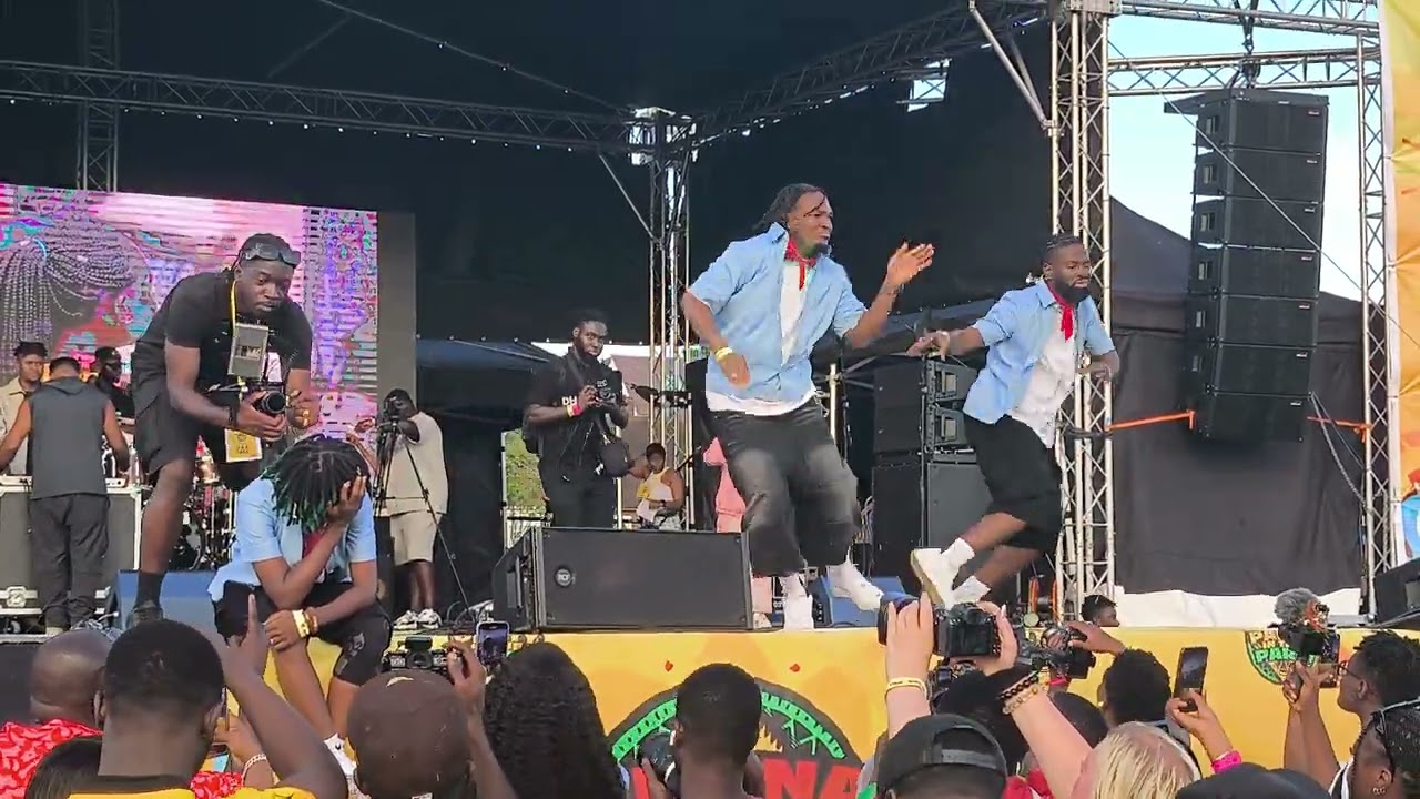 DWP Academy live in Ghana party in the park 2025