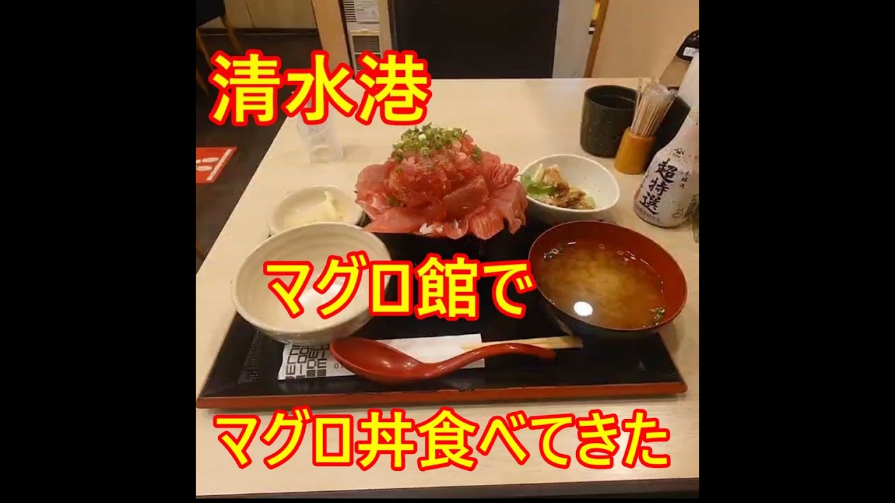 ボツ動画【清水港】スマホのバッテリー残量20％の戦い