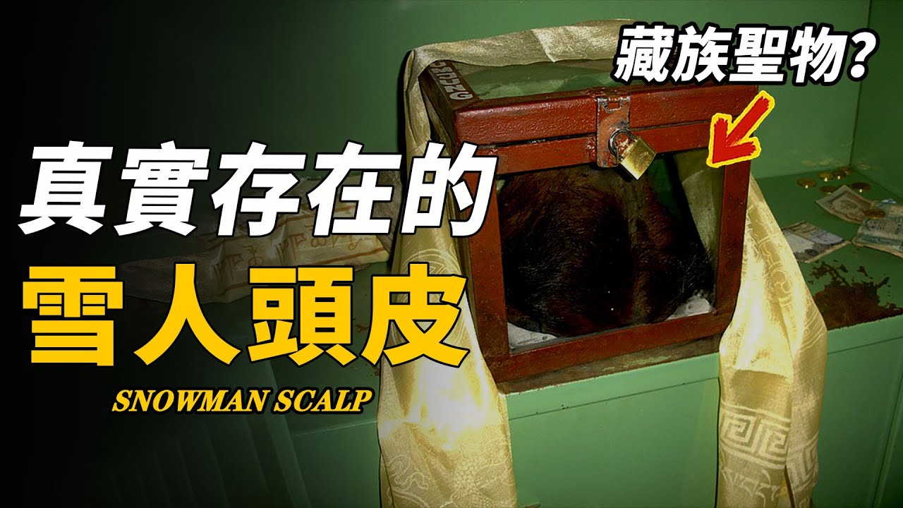 雪人傳說並非虛構！藏地神廟驚現「雪人頭皮」，大量「巨型雪人腳印」被證實！這是一種4萬年前的未知生物！| 腦補大轟炸