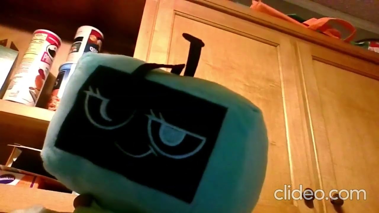 How To Take Care Of Your Vee Plushie!