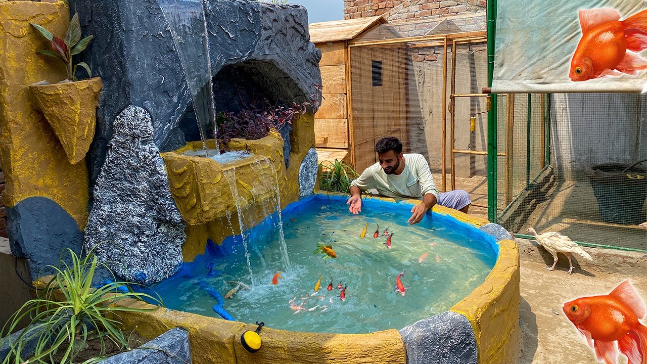 Hmari Colour Fishes Bhi Agaen 🥳🥳