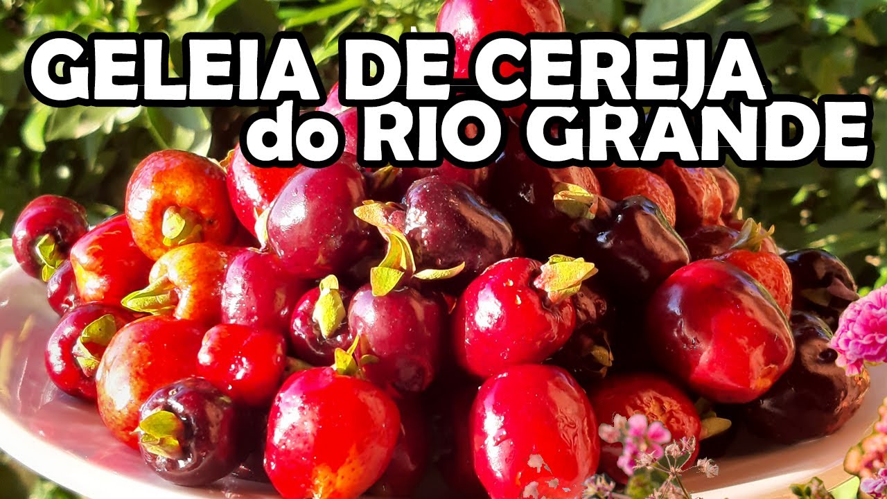 COMO FAZER GELEIA DE CEREJA do Rio Grande ou Cereja do Mato| receitas fáceis e rápidas