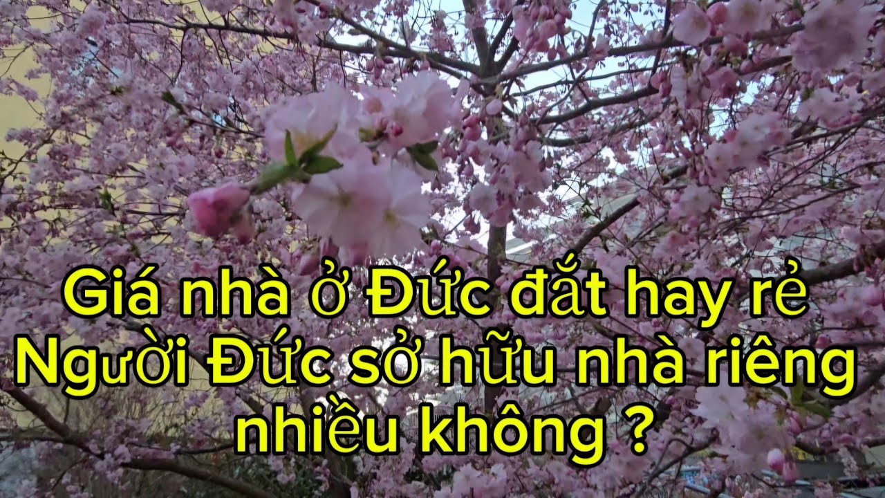 Giá nhà đất ở Đức có đắt ,người Đức sở hữu nhà riêng bao nhiêu %#cuocsongduc