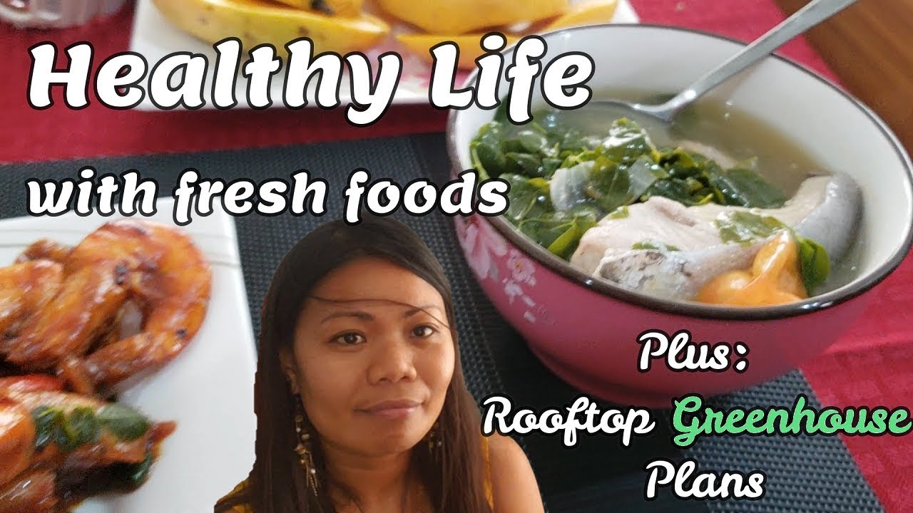 Rooftop GREENHOUSE plans , House Permits and FRESH FOODS at Philippines Homestead
