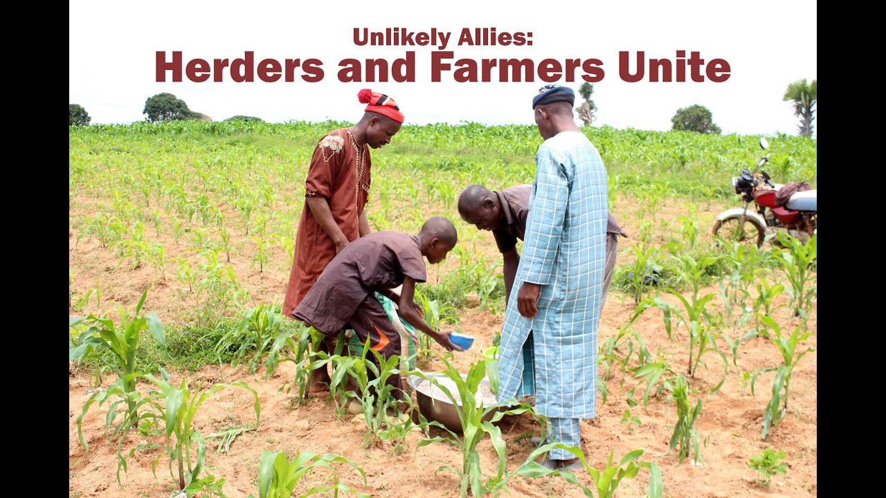 From Conflict to Cooperation A Community Led Approach to Farmer and Herder Peacebuilding in Riyom
