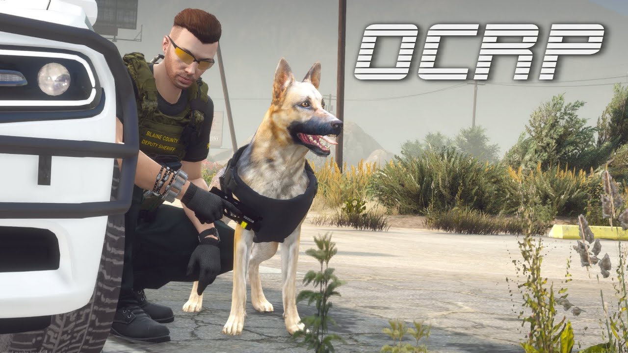Jacque & Pico K-9 Patrol in OCRP!