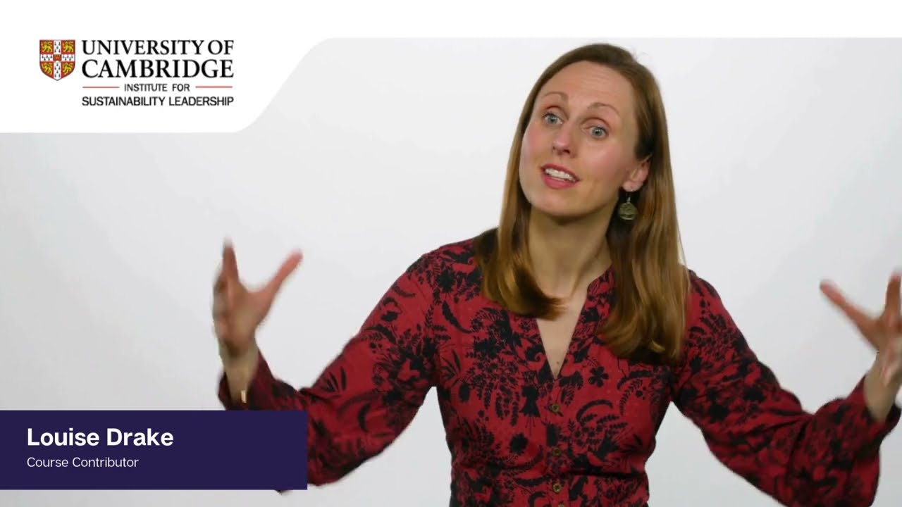 Sustainable Business Foundations: Louise Drake: Why CISL?