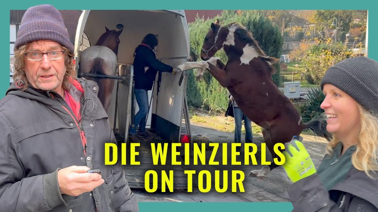 3 Pferde, 3 Geschichten – Die Weinzierls on Tour | Horsemanship hautnah