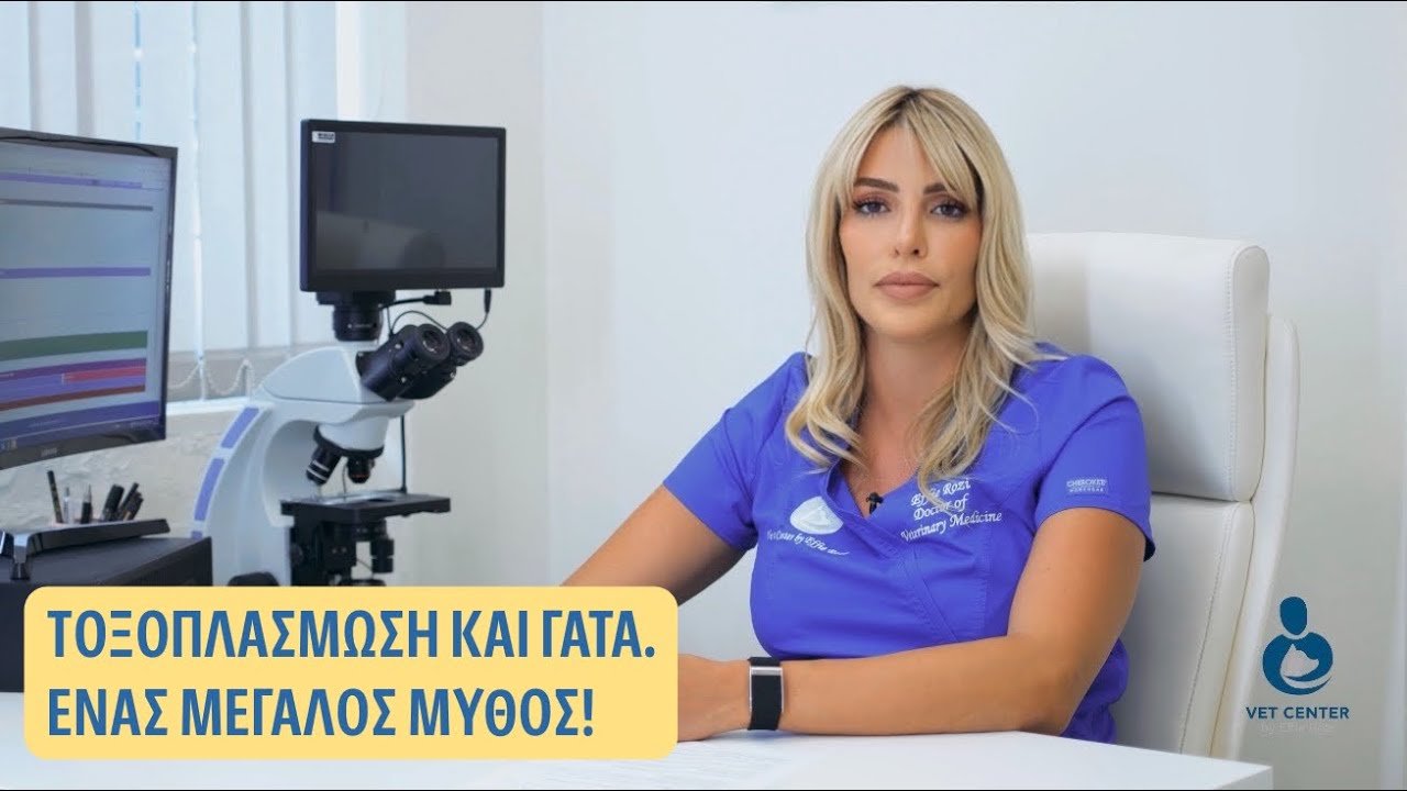 Μύθοι και Αλήθειες για την Τοξοπλάσμωση | Ως έγκυος κτηνίατρος μοιράζομαι την αλήθεια