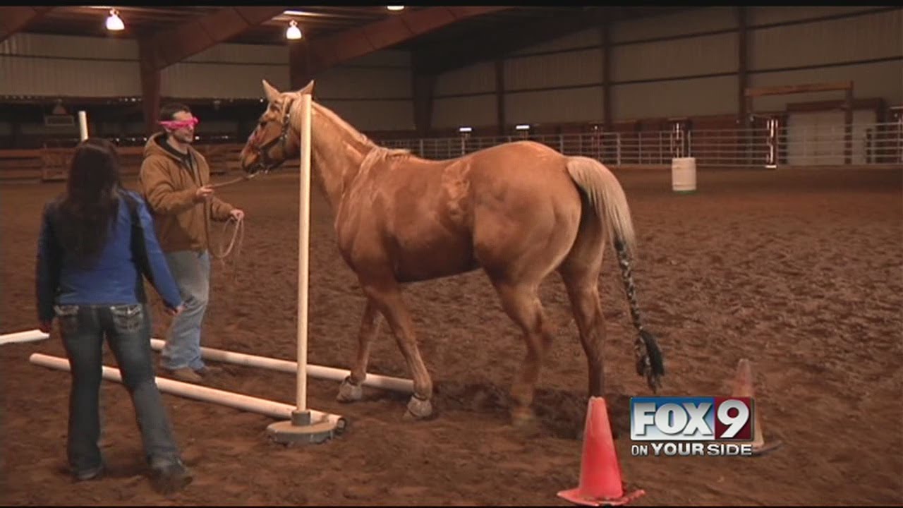 Equine assisted therapy helps overcome social anxieties