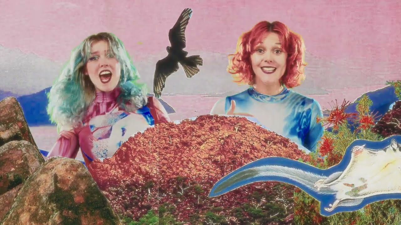 Charlie Needs Braces - This Land (Official Music Video)