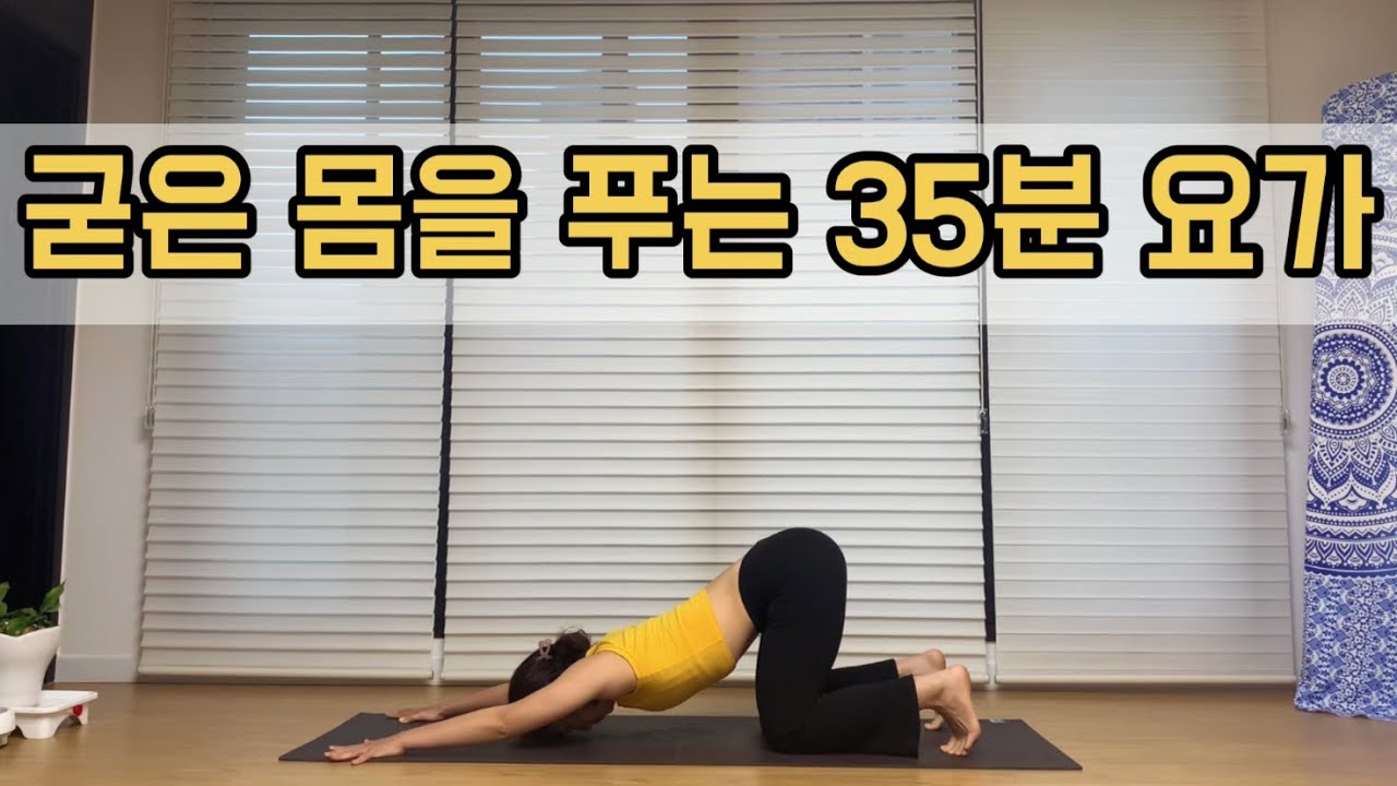 [서리요가#152]기초요가 필수동작(최신ver) / 요가입문을 위한 35분 요가플로우/ 전굴, 측굴, 역자세