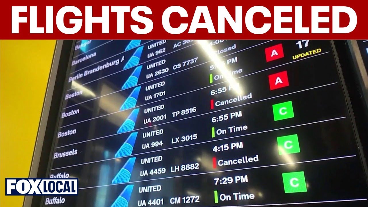 Blizzard in New York forces thousands of flight cancelations nationwide