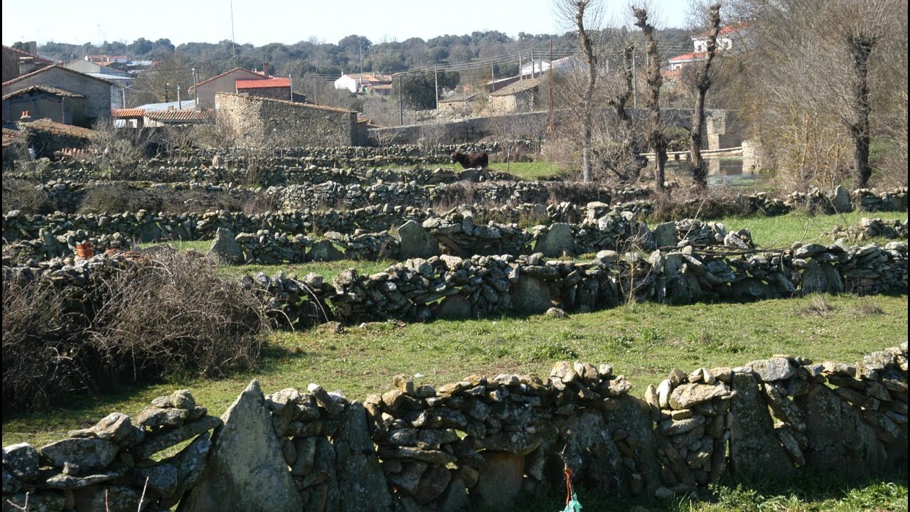 FARIZA DE SAYAGO_COMARCA DE SAYAGO_ZAMORA