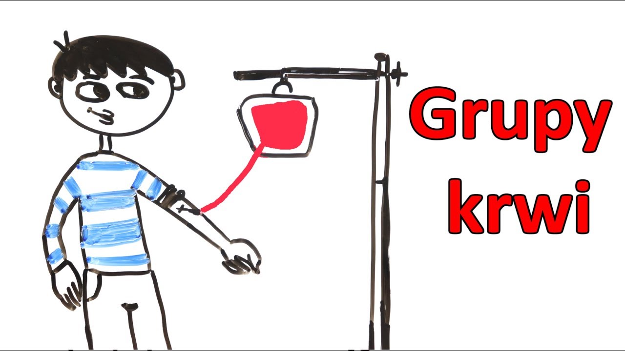 Czym się różnią grupy krwi?