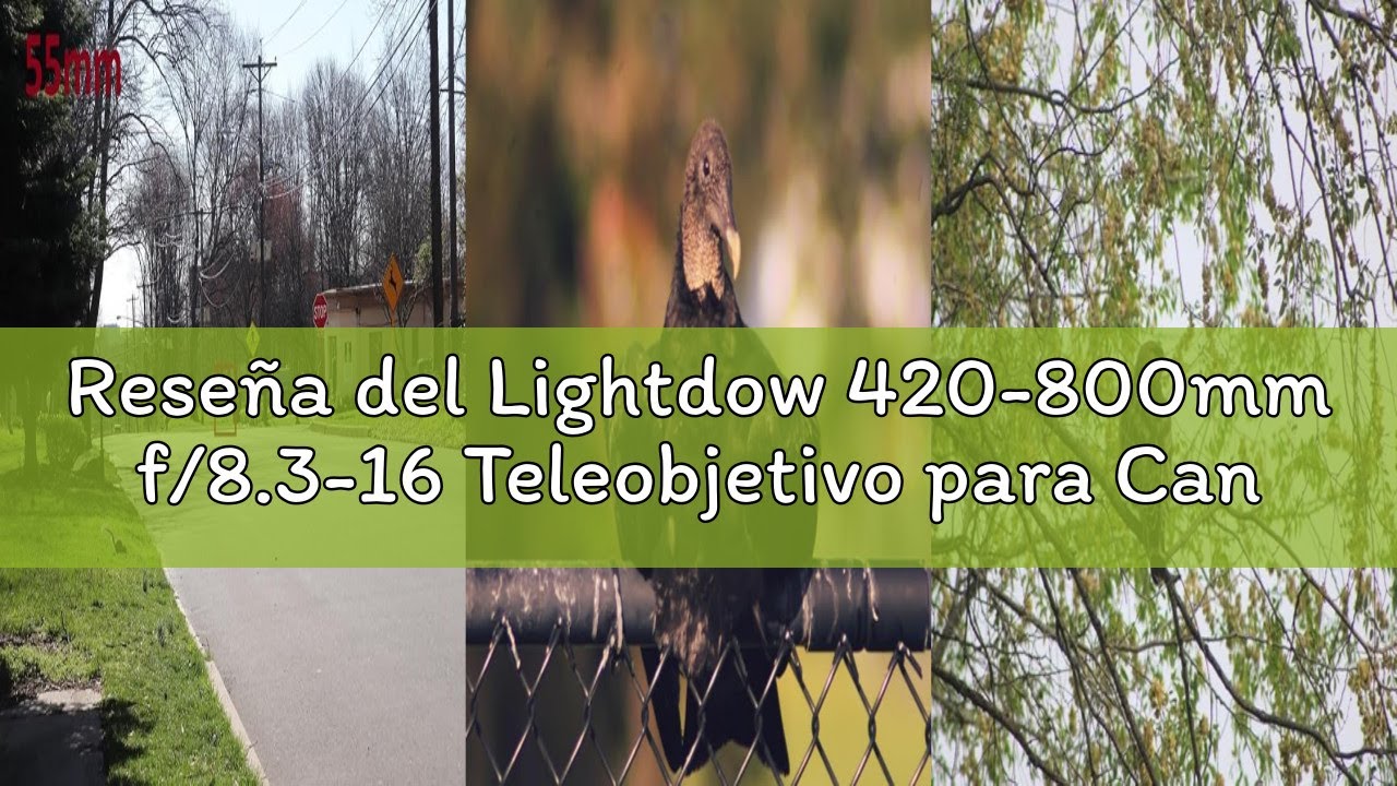 Reseña del Lightdow 420-800mm f/8.3-16 Teleobjetivo para Canon EF, Enfoque Manual Zoom Lente para Ca