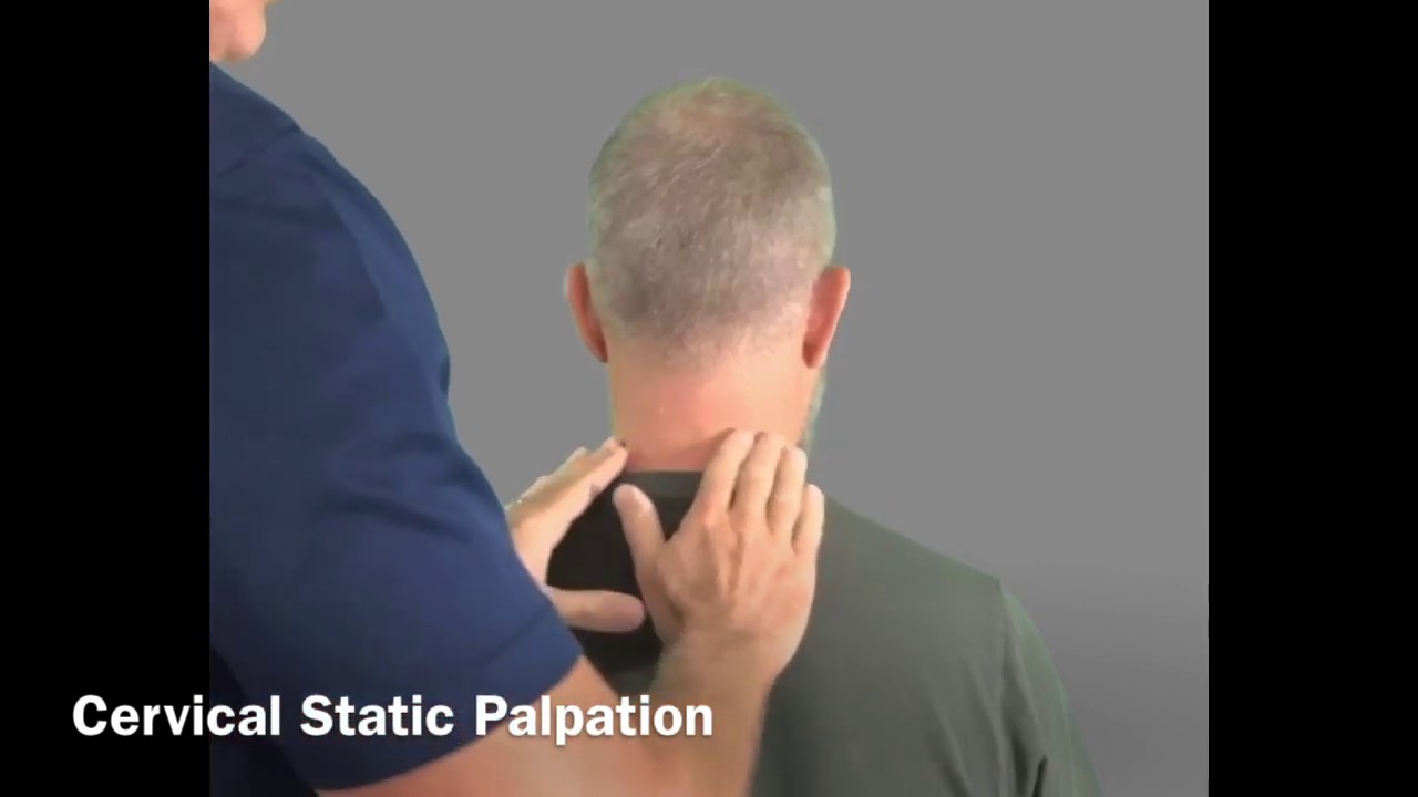Cervical landmarks & static palpation
