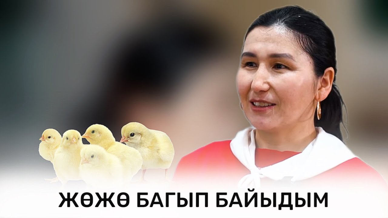 ӨЗ ҮЙҮНҮН ЖЕРТӨЛӨСҮНДӨ ИШКЕРДИК БАШТАГАН ГҮЛЖАН КОЙЧУБАЕВА | АРУУЗАТ