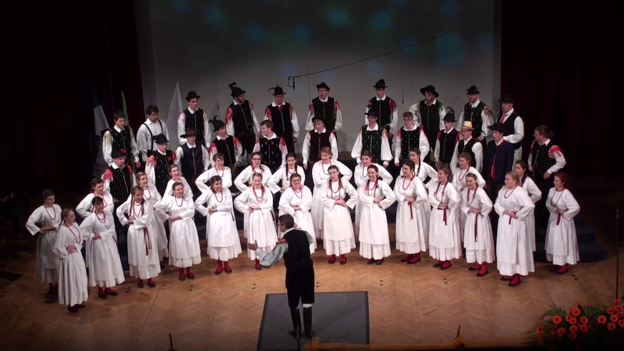 14. International Choral Competition Gallus, Maribor 2017 – Komorni zbor Megaron