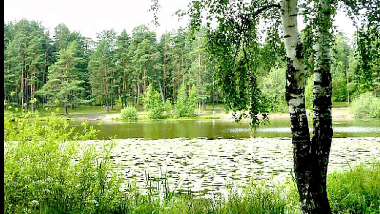 МЕЖЦИЕМС (микрорайон Риги)