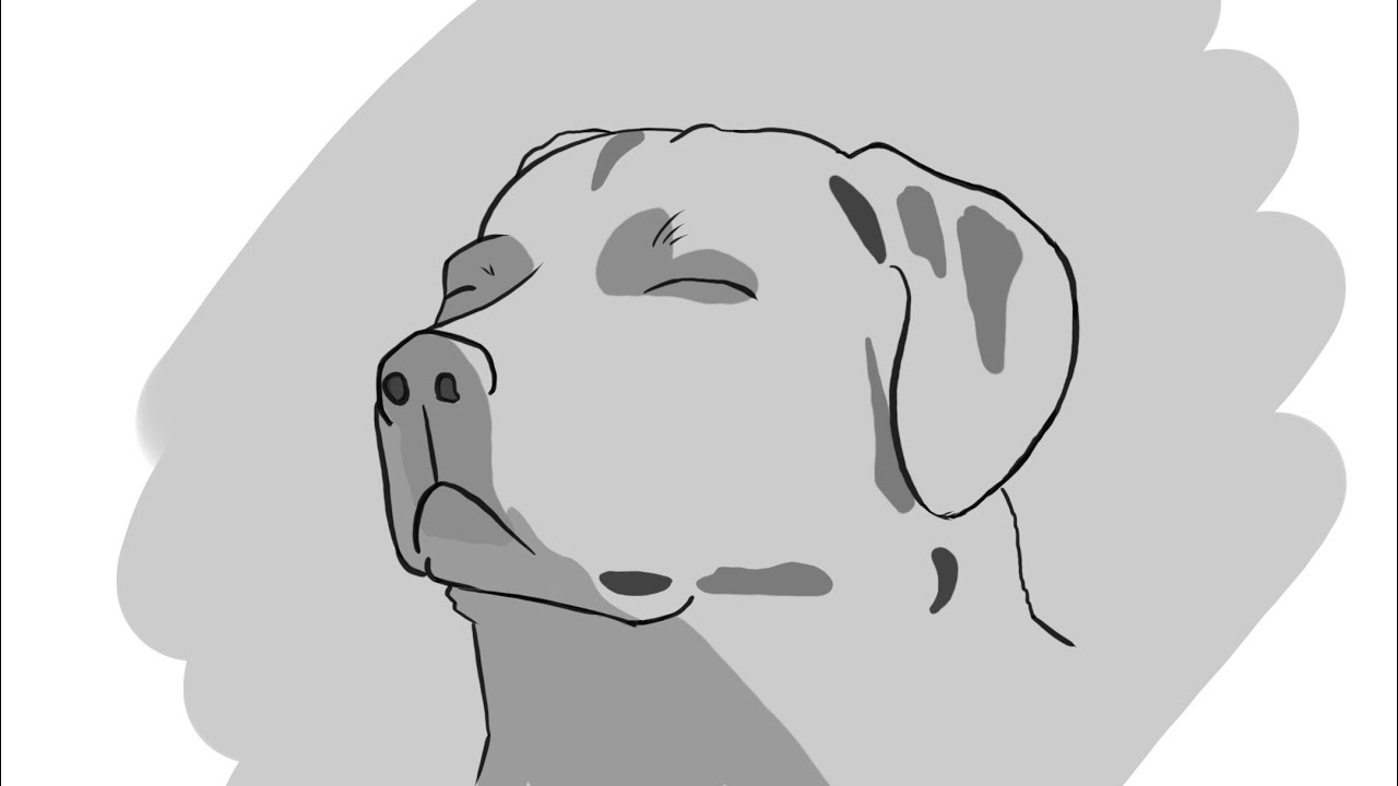 I learn ANIMATING on PROCREATE here is the result…