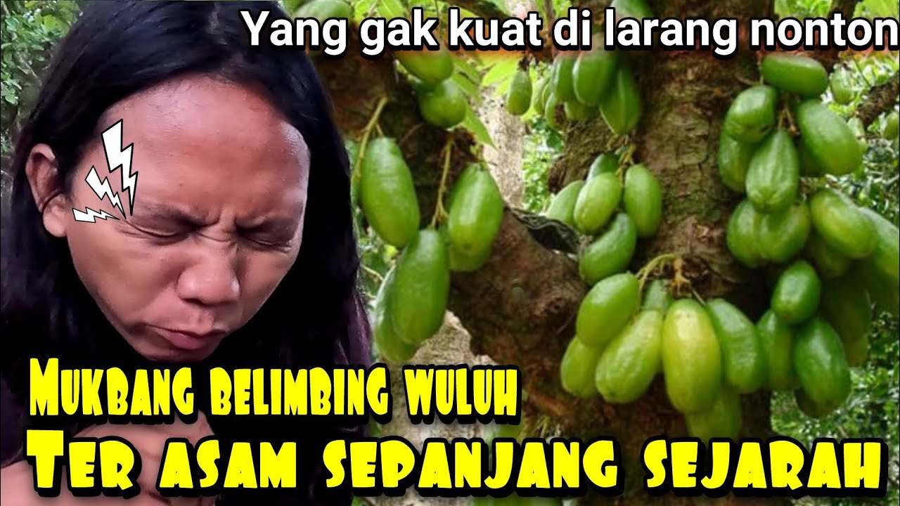 MUKBANG BELIMBING SI RAJA ASAM  AUTO SETRUK