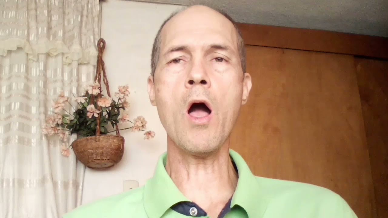 BARITONO BAJO-BARITONO y BARITENOR | En qué se diferencian?