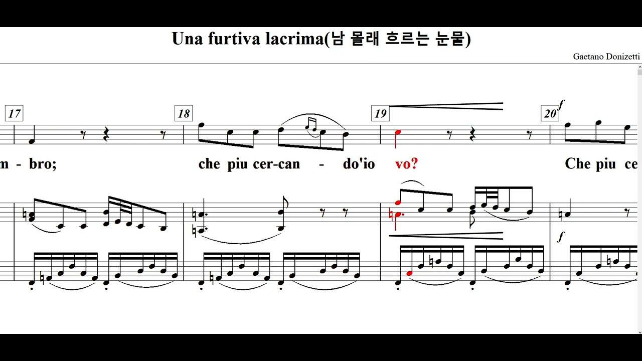 Una furtiva lacrima(남 몰래 흐르는 눈물) / Gaetano Donizetti