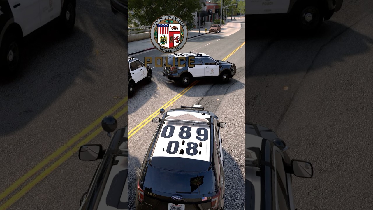 GTA V Realistic LAPD Fake police officer pulls car over 