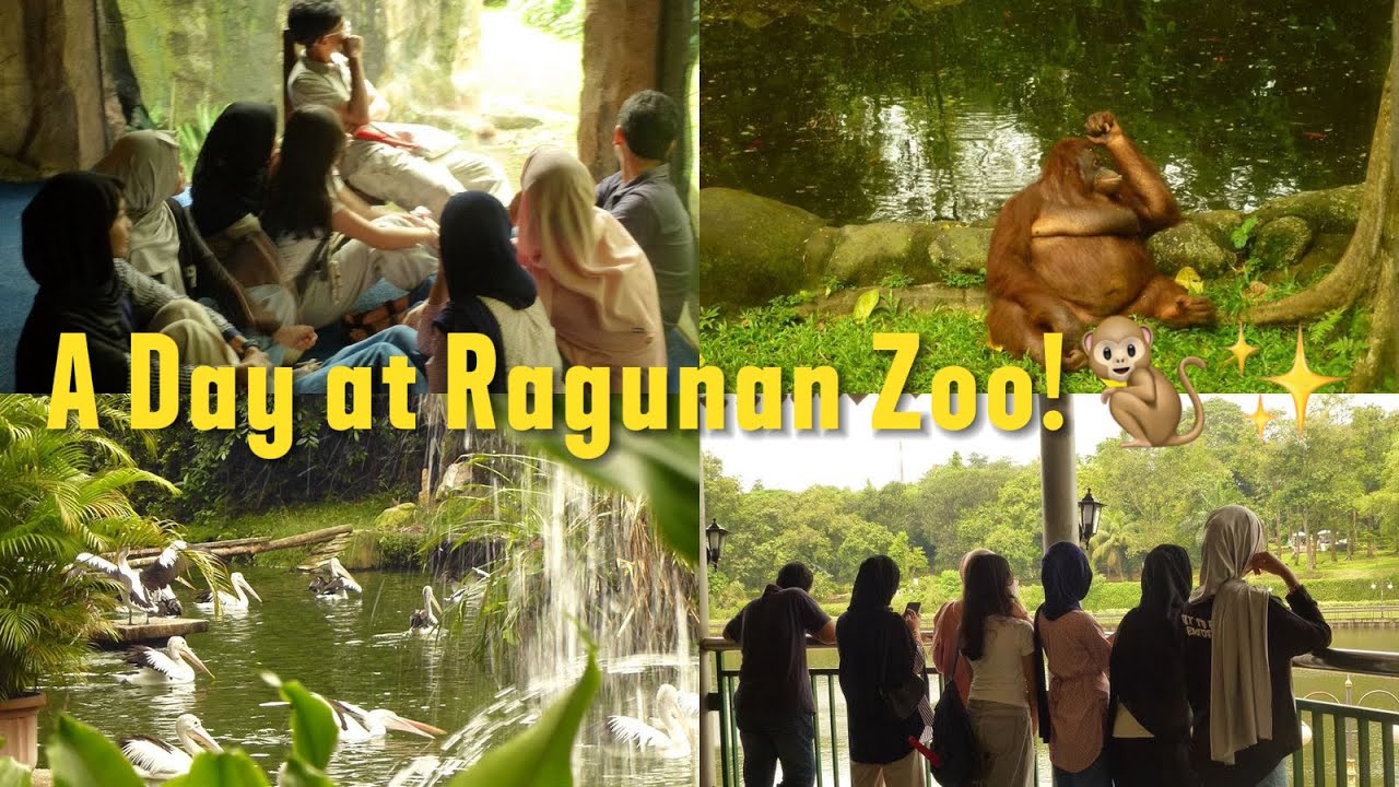 Explore Ragunan Zoo‼️