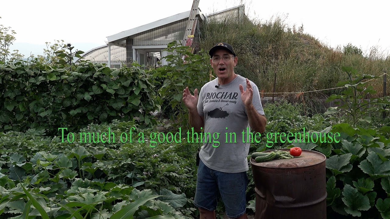 Too much of a good thing in the greenhouse