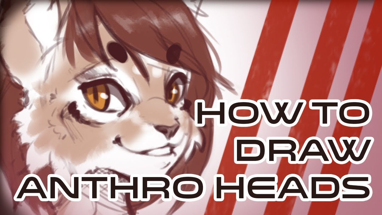Furry Art 101 - How to draw the anthro head (Redone)