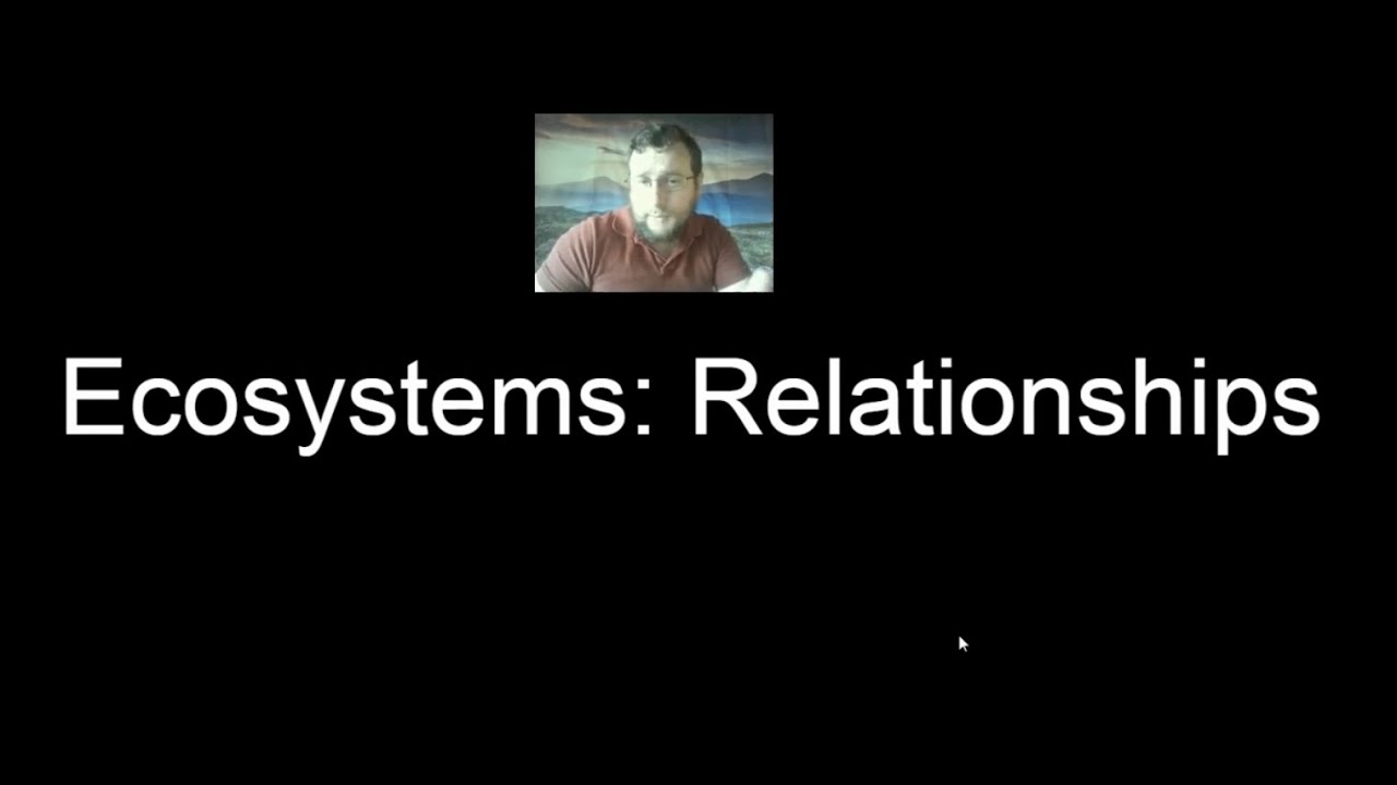 Ecosystems: Relationships (Middle School) - Review Video