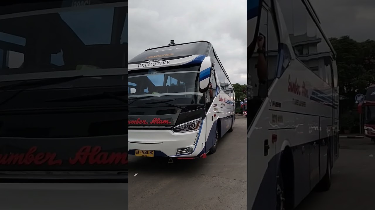 SUMBERALAM 88OC JOGJA VIA PURWOREJO #busmania #busmaniacomunity #sumberalambus #shorts #short