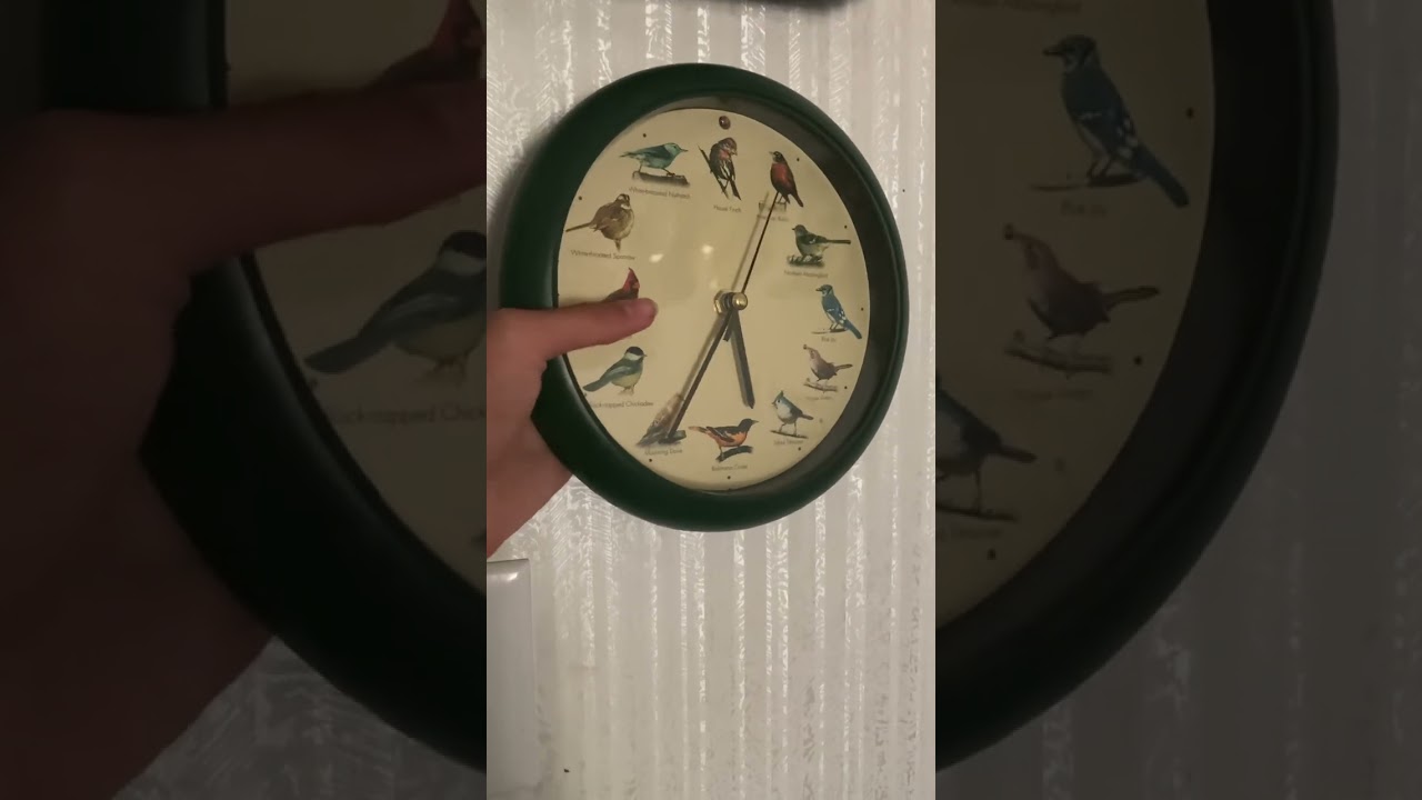 All bird sounds on my singing bird clock