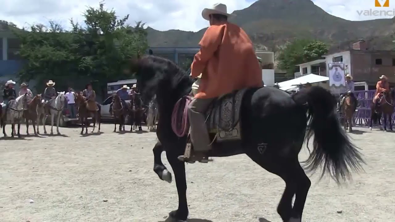 Cabalgata de Santa Maria Zoquitlan