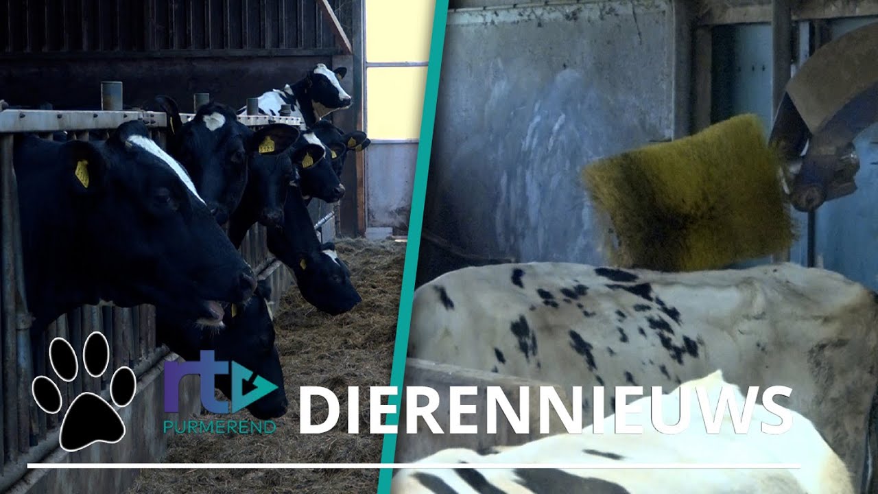 Over het leven op de boerderij: 'Hier zou ik me zorgen over maken'