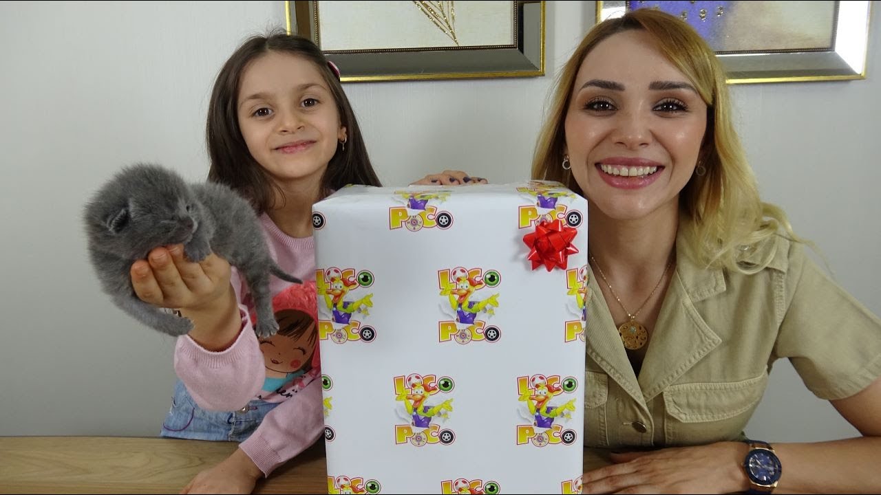 Lina'ya Sürpriz ! Yavru Kedilerimizden Birinin Gözleri Açıldı!
