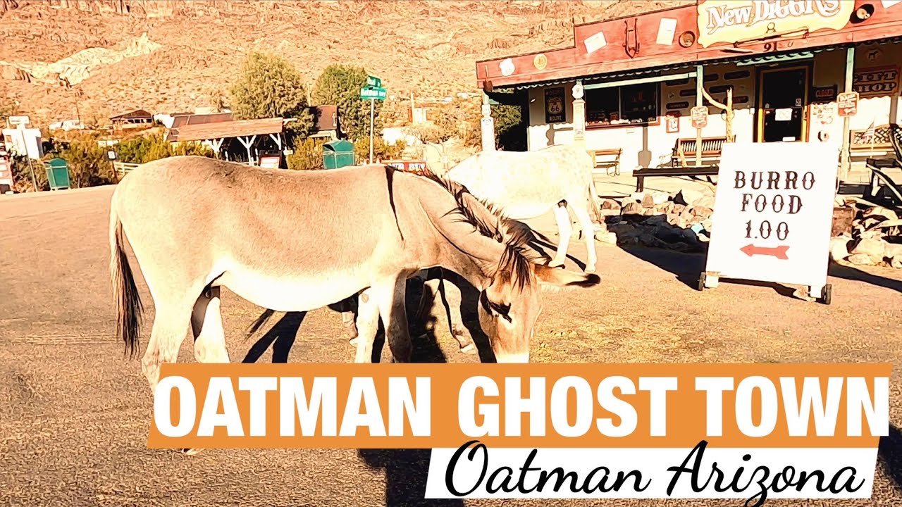 UP CLOSE WITH BURROS IN OATMAN ARIZONA | OCTOBER 2020 | TRAVEL VLOG | SKpinkos Vlogs